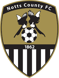 https://img.yggrdrasill.com/img/football/team/9e230c89a846b9cadf91884918fa7611.png